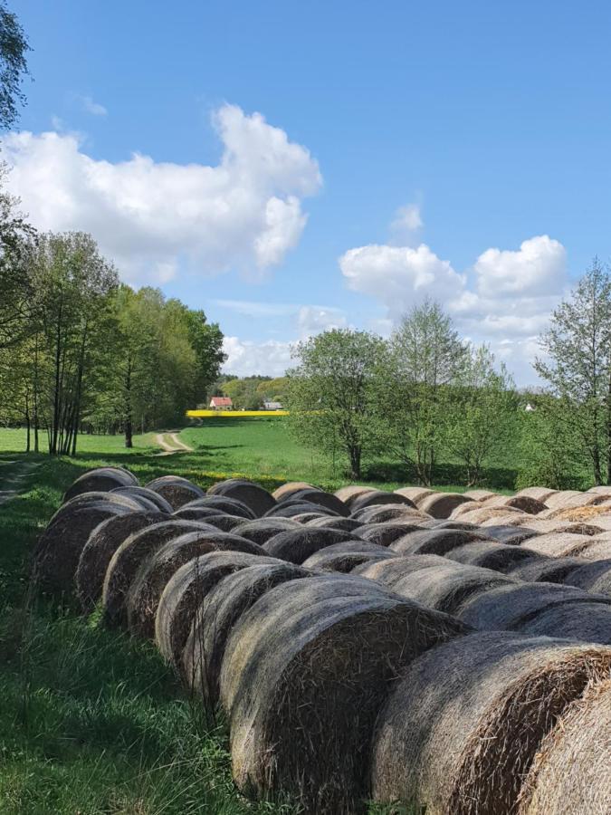 Anni's Waldblick *