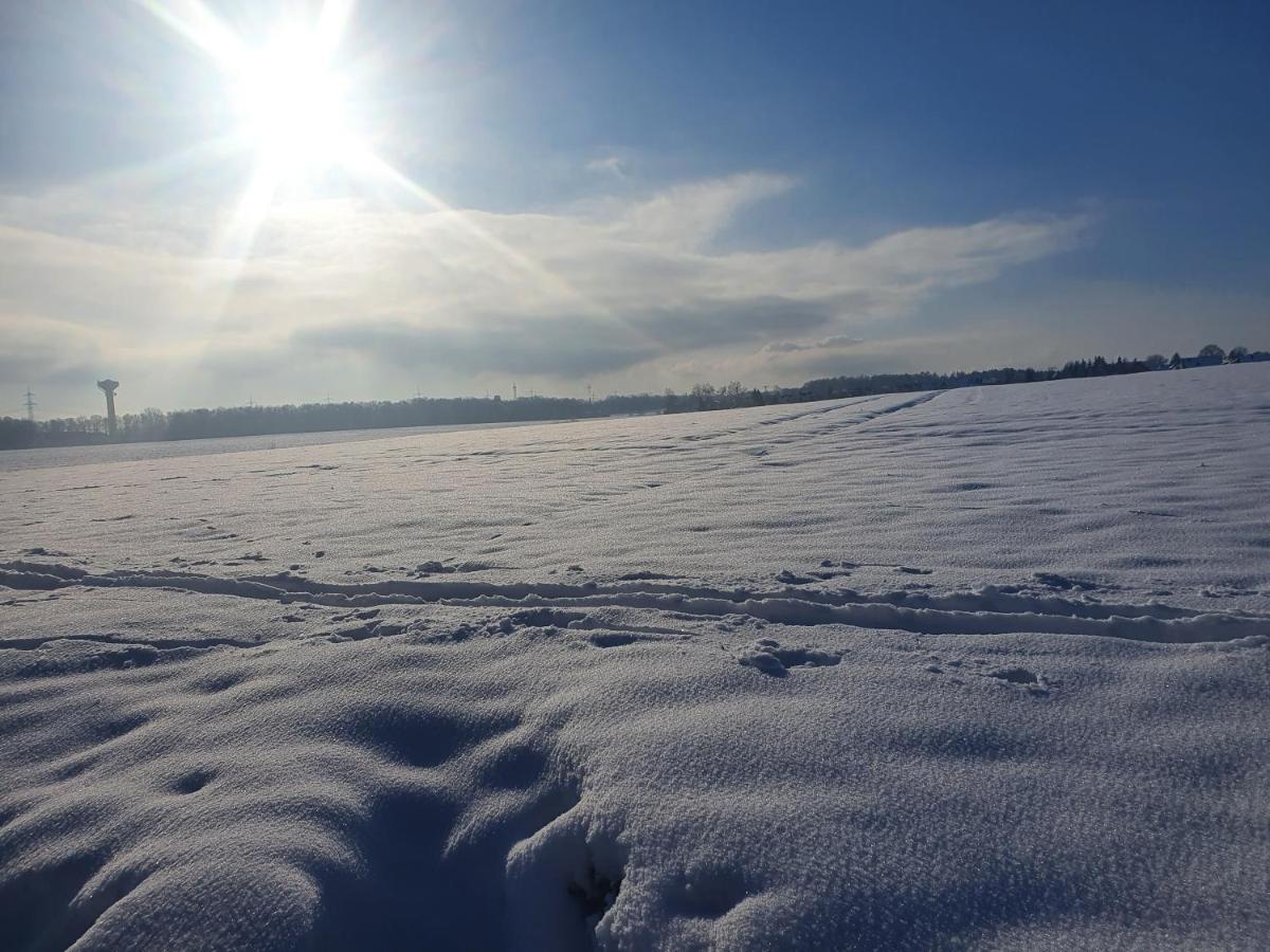 Anni's Waldblick *